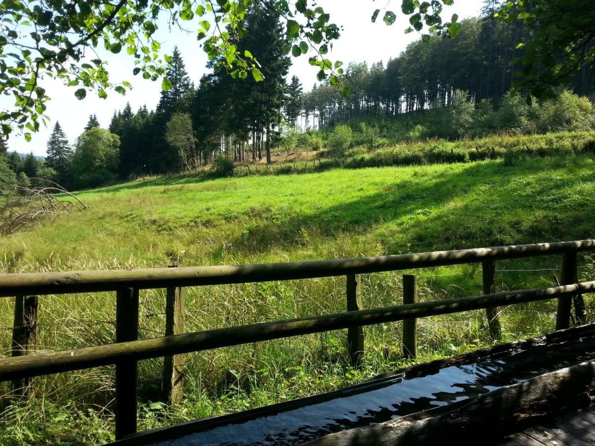 Cosy Apartment Over Usseln With Private Terrace Willingen  Oda fotoğraf